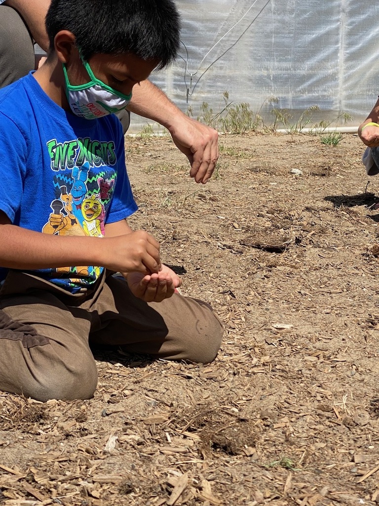 Learning Garden