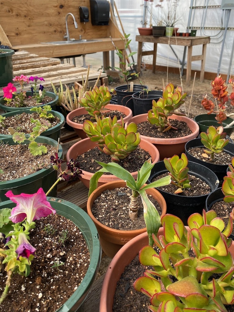 Learning Garden