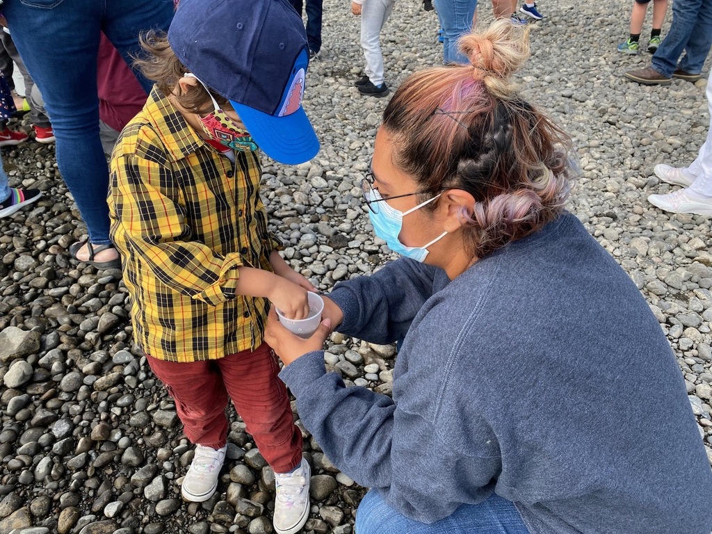 Salmon Release Party