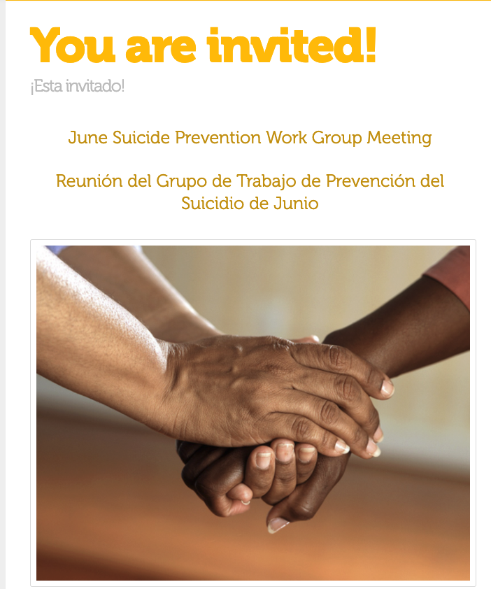Suicide Prevention Work Group Meeting